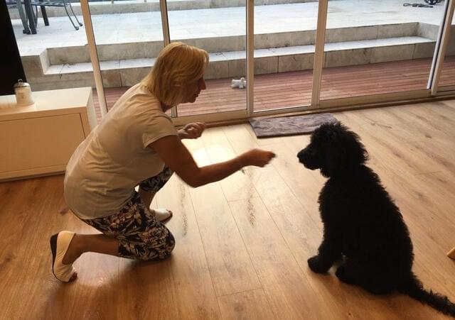 Dog trainer Monika Taus petting black dog.