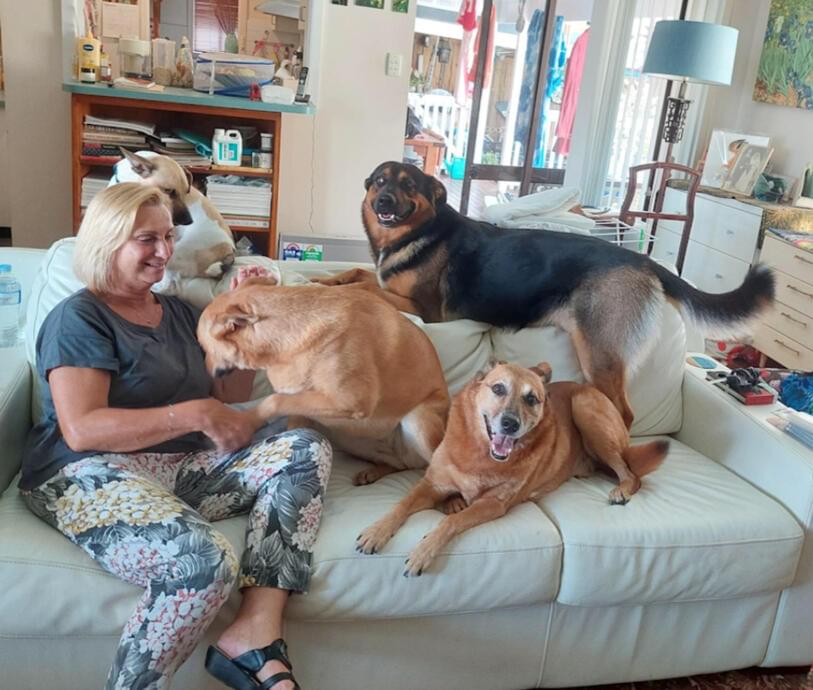 Monika Taus sitting on a couch surrounded by four dogs, creating a cozy and heartwarming scene.