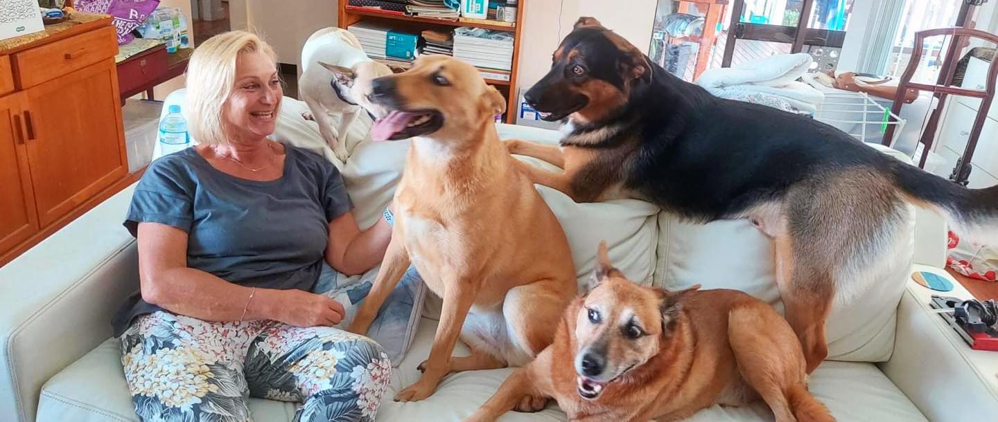 Dog trainer Monika Taus sitting on a sofa surrounded by four dogs